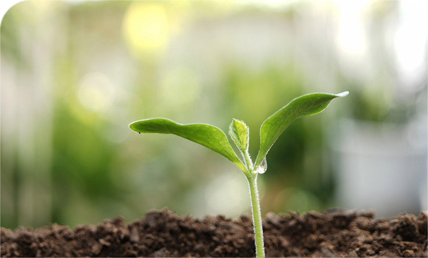 創基150周年記念事業イメージ画像